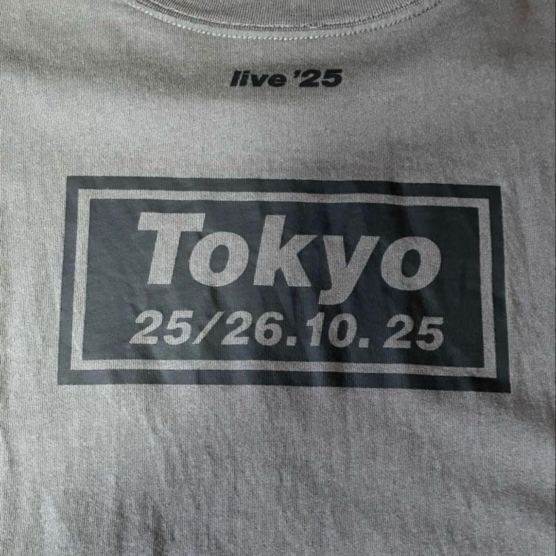 Oasis Tシャツ 富士【日本限定】 Lサイズ