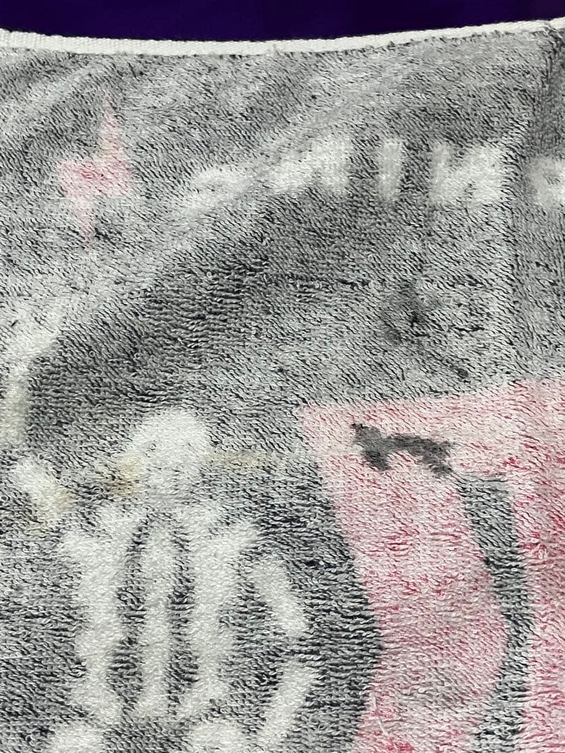 【激レア】BABYL ★重音部 ver.★DVD+タオル