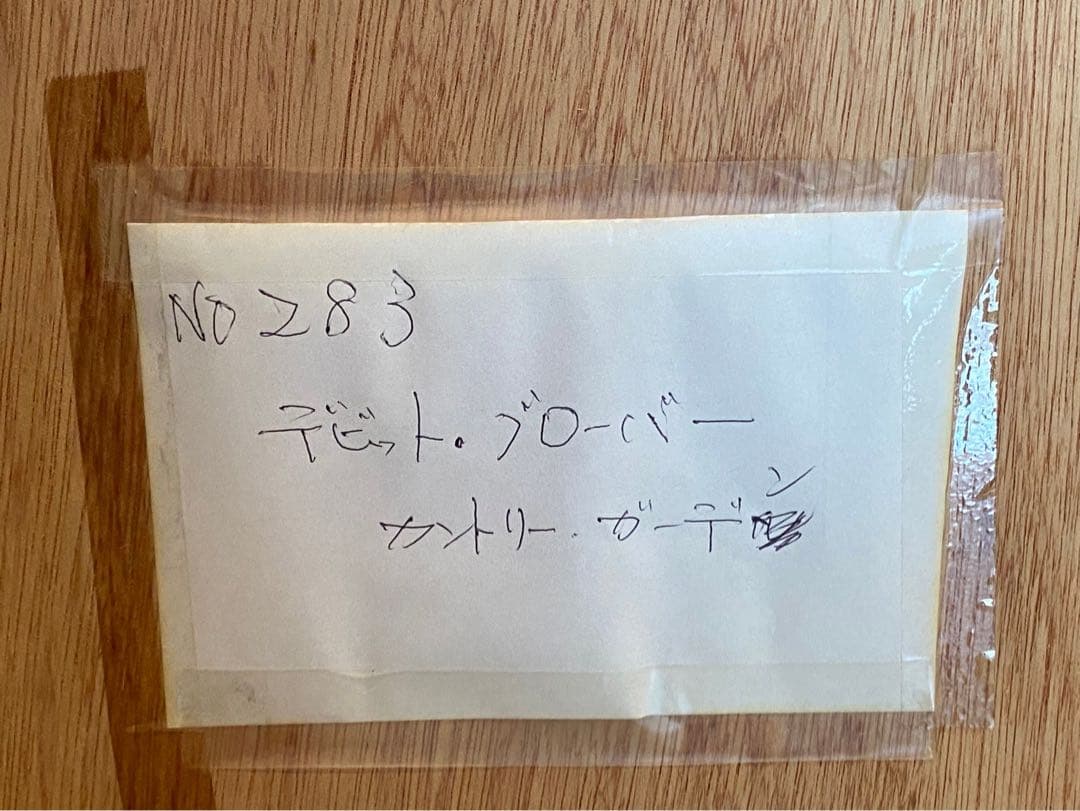 デビット・ロイド・グローバー リトグラフ カントリーガーデン 絵画 インテリア