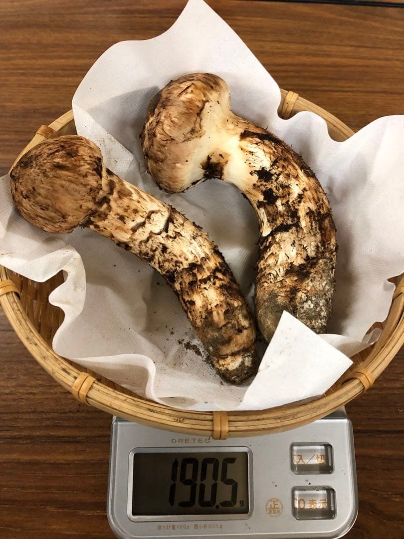 岩手県産　上物天然松茸（190.5g）①