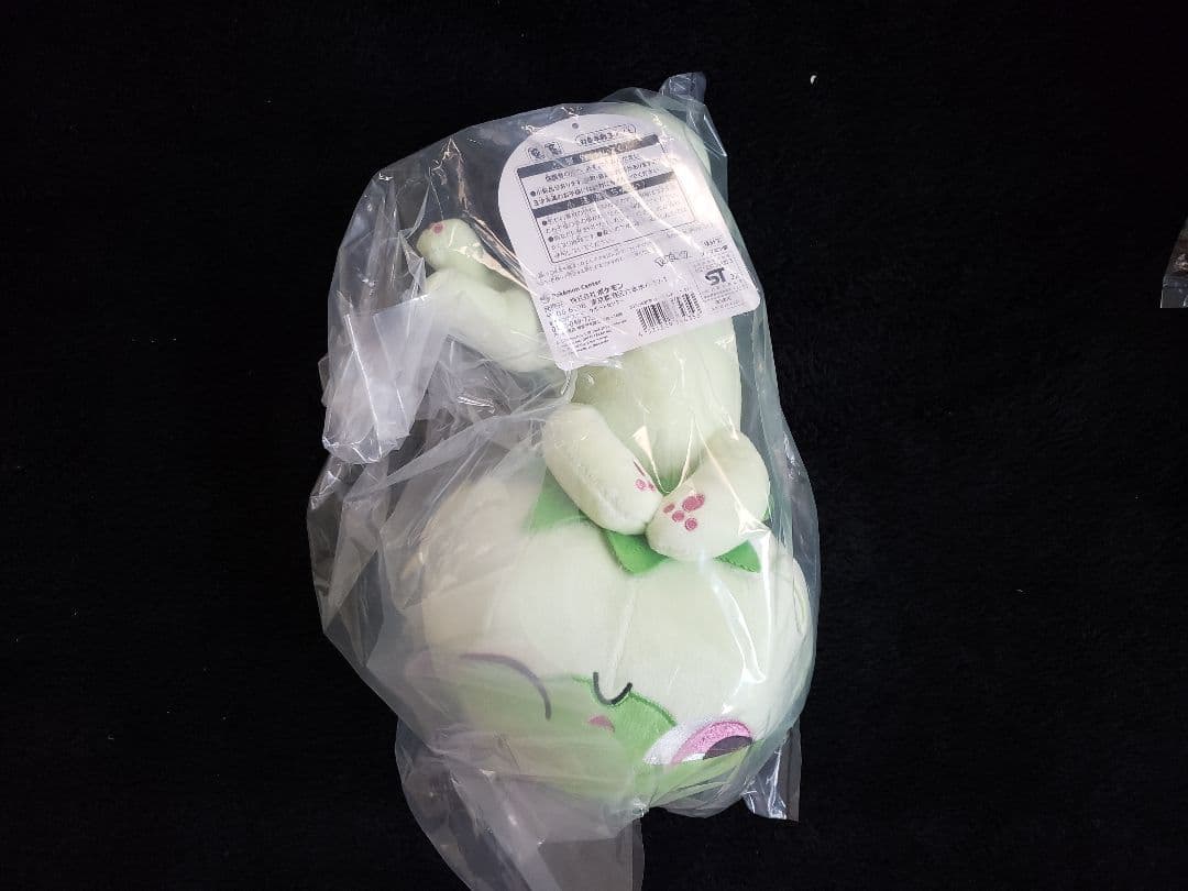 ピカピカボックス2023