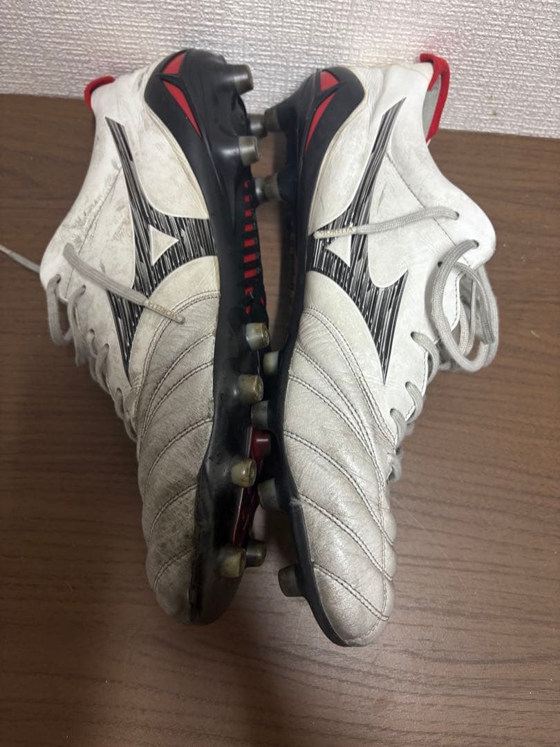 モレリアネオ4 29.0