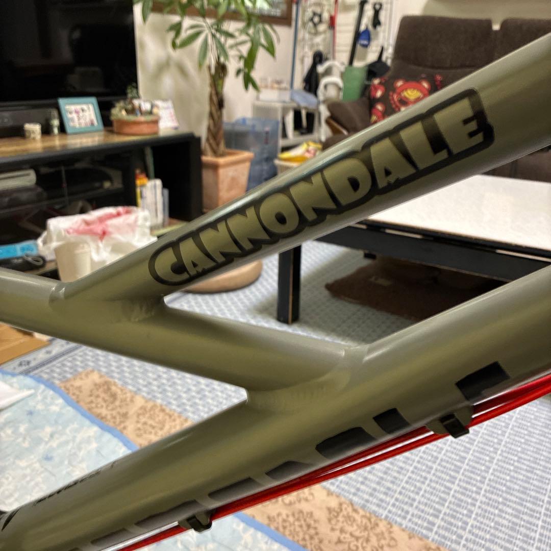 (引き取り限定) キャノンデール　フーリガン