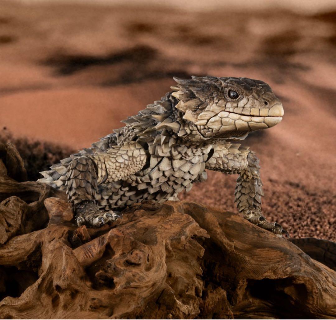 いきもの大図鑑アルティメット オオヨロイトカゲ 新品未開封 ⓵