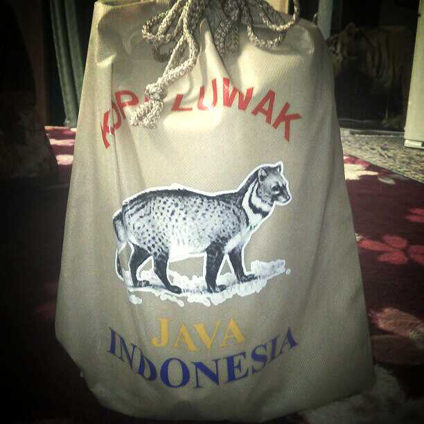 世界1高い珈琲コピ・ルアク是非とも♪