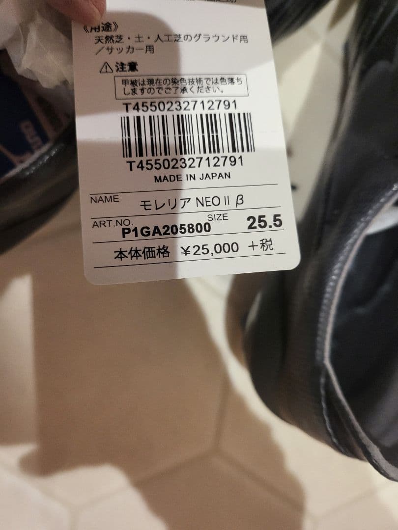 モレリアネオⅡβ