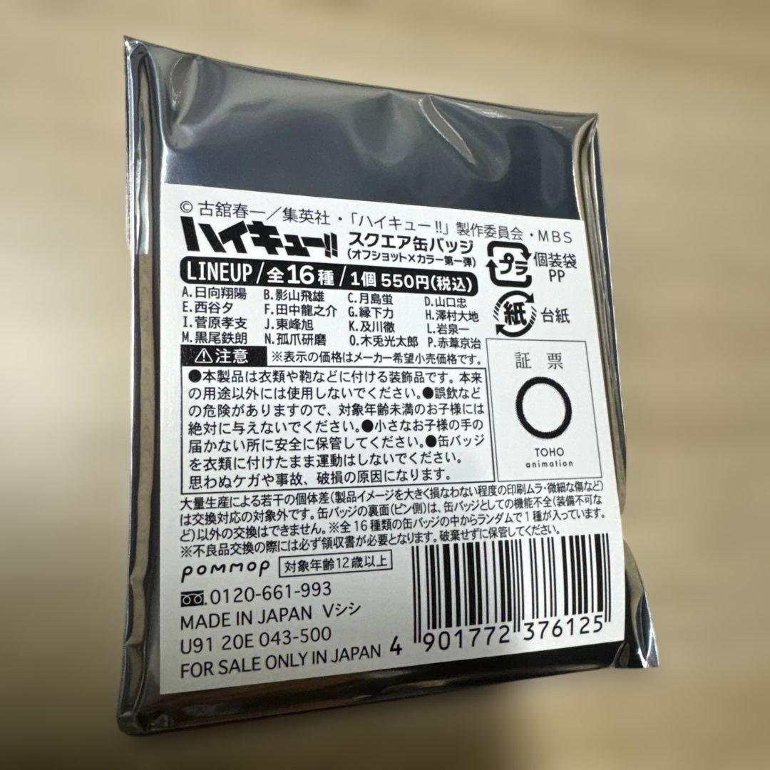 ハイキュー セブンネット限定 スクエア缶バッジ オフショット×カラー第一弾 新品