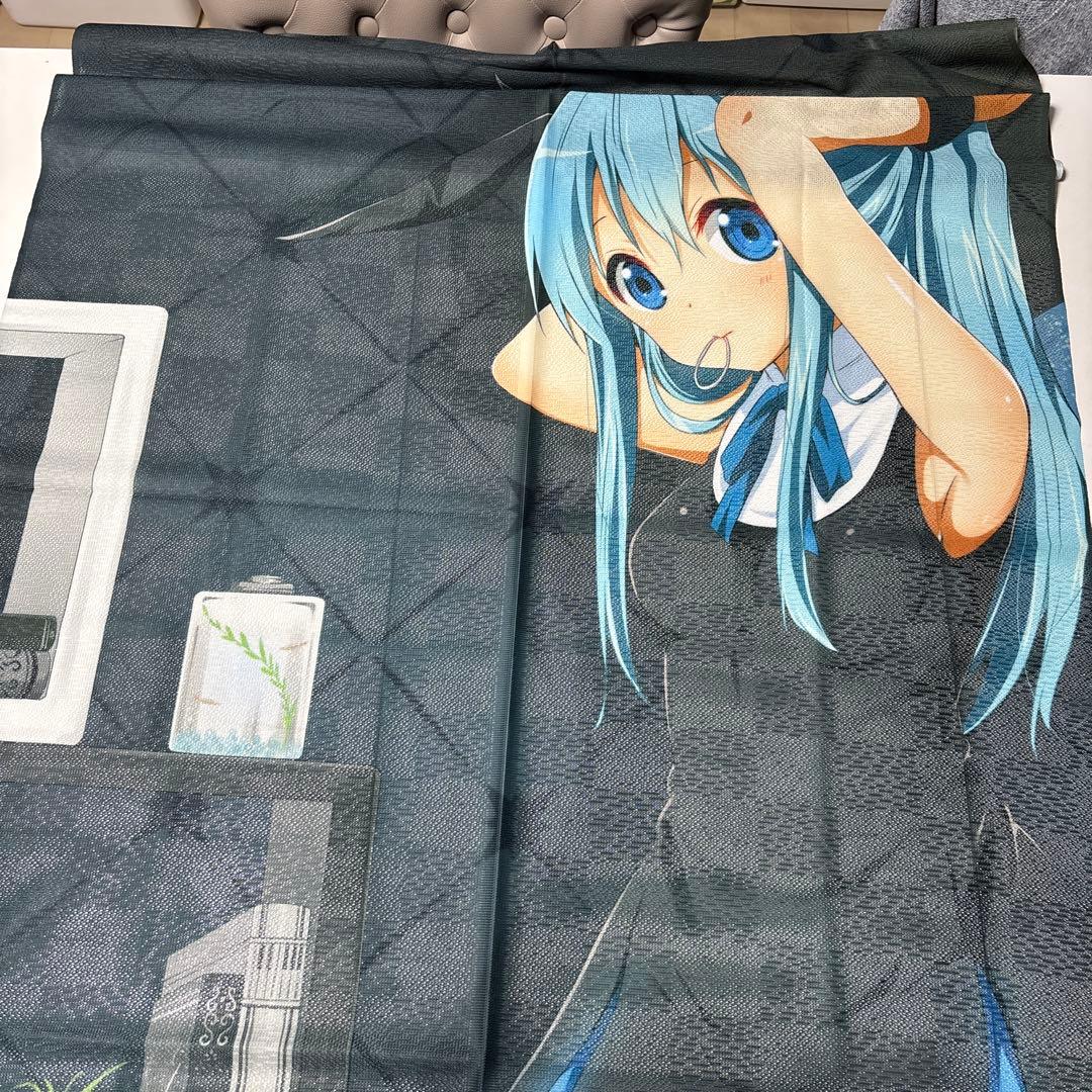 カーテン魂 らぐほのえりか のれん