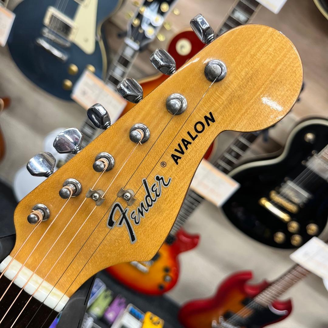 【11101】Fender acoustic AVALON 2