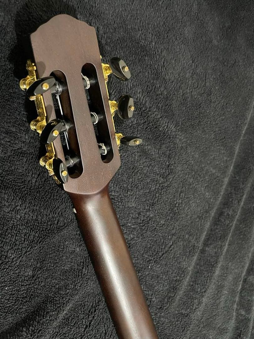 ノーブランド morris Groovin'タイプ サイレントソリッドエレガット