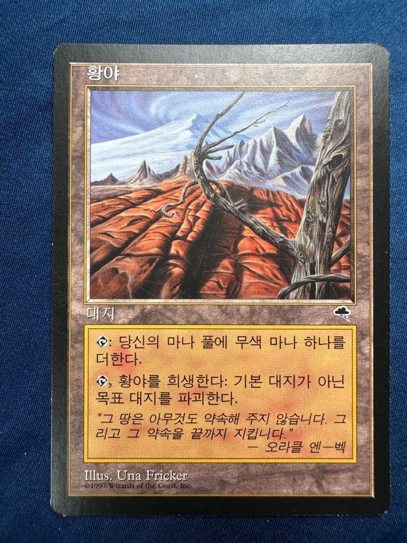 不毛の大地　Wasteland 4枚　テンペスト　MTG