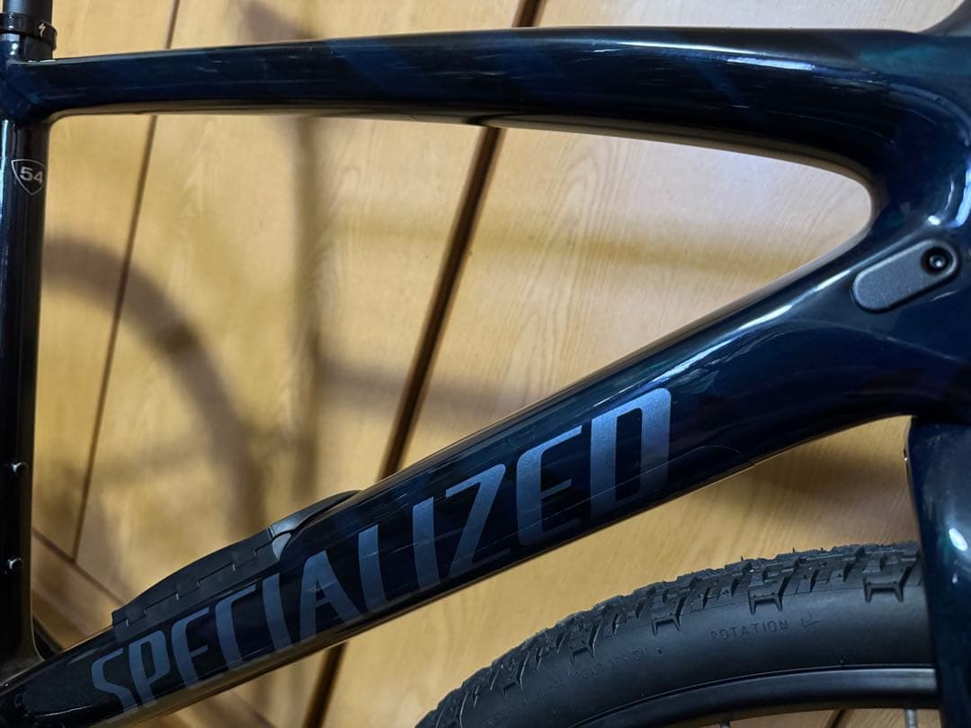 自転車本体 SPECIALIZED Diverge Expert Carbon