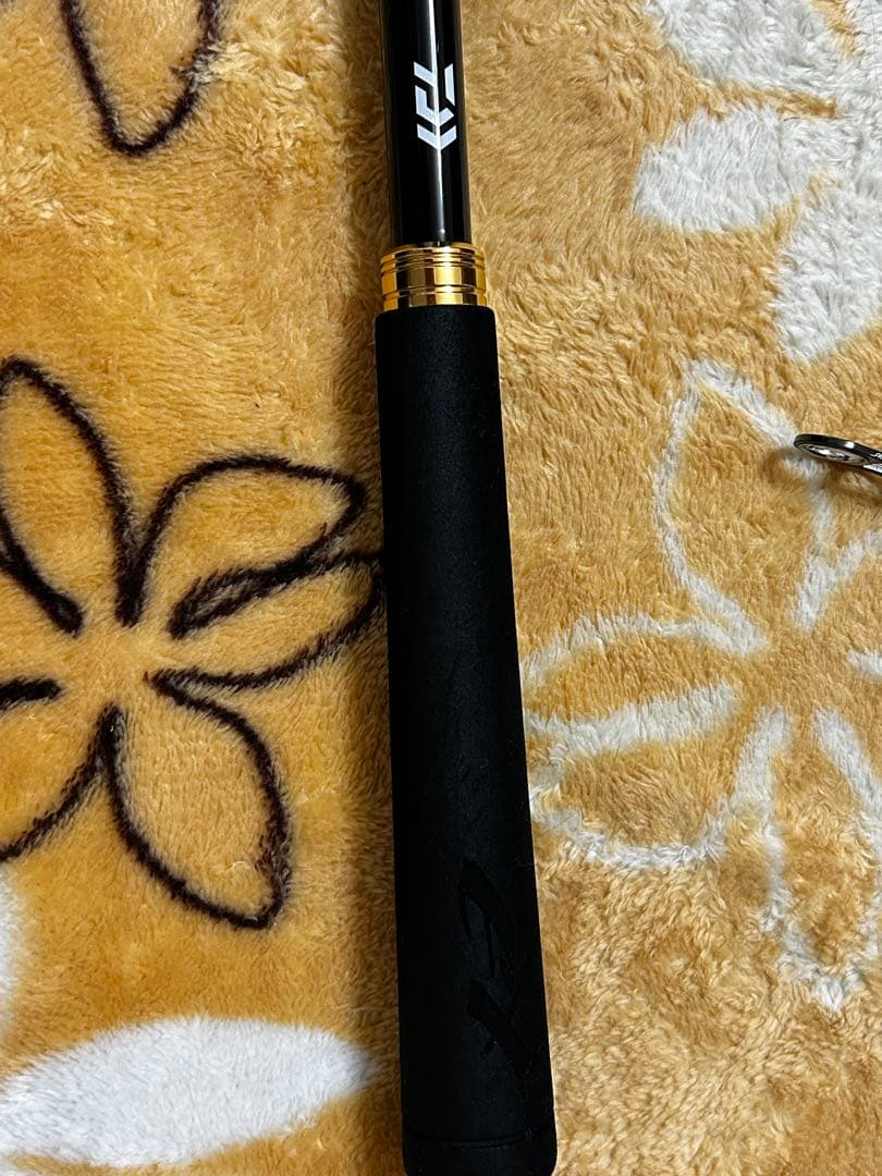 ダイワ　オーバーゼアEX 1010M/MH 美品