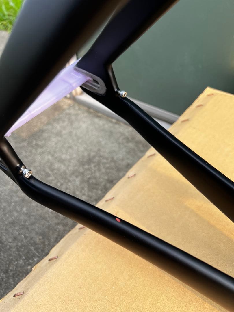 ブリヂストン　カーボンフレーム　ＴＥ９　Ｌサイズ