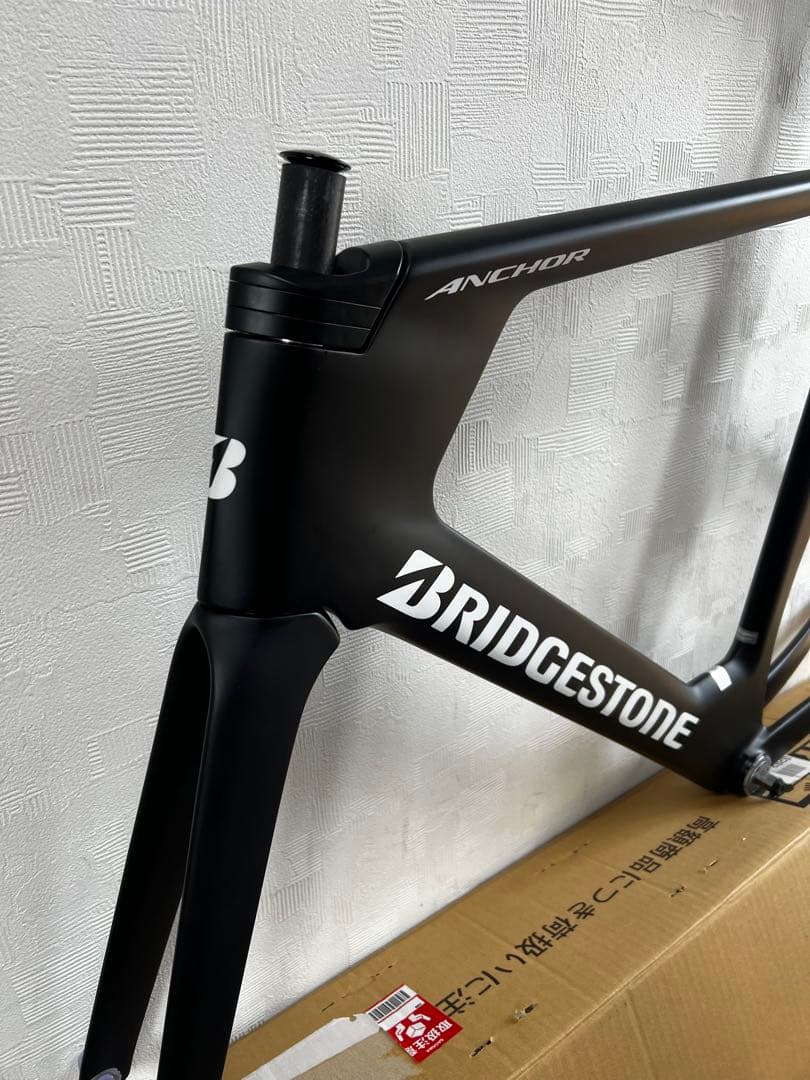 ブリヂストン　カーボンフレーム　ＴＥ９　Ｌサイズ