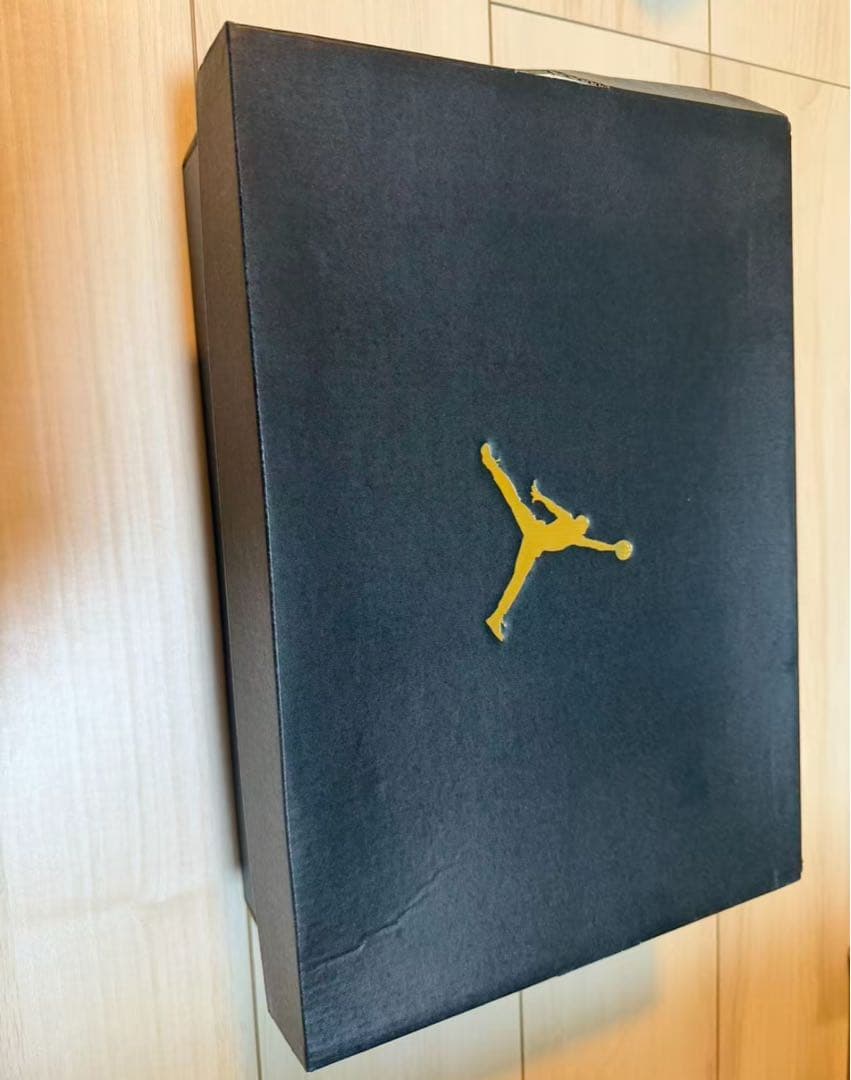 ジョーダン マックス オーラ 6 メンズシューズ