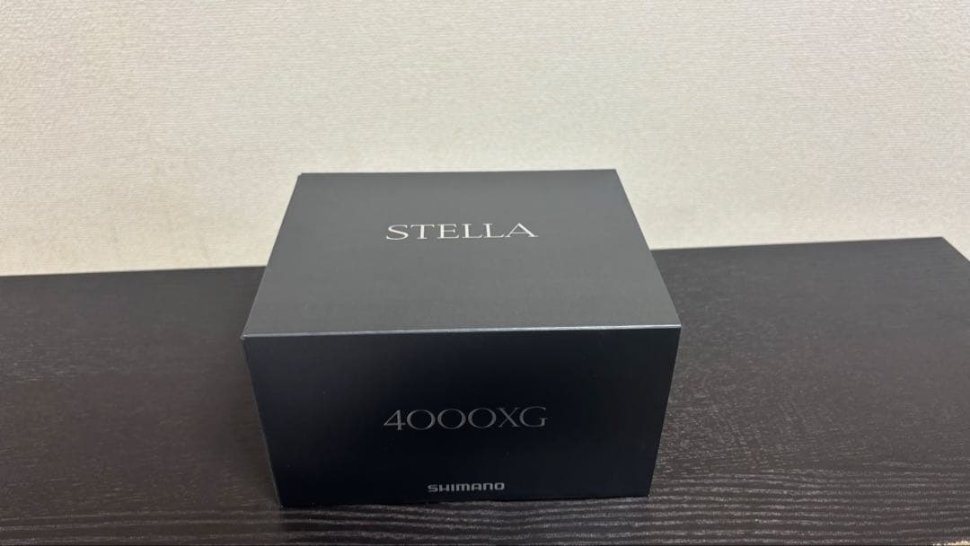 22ステラ　4000xg