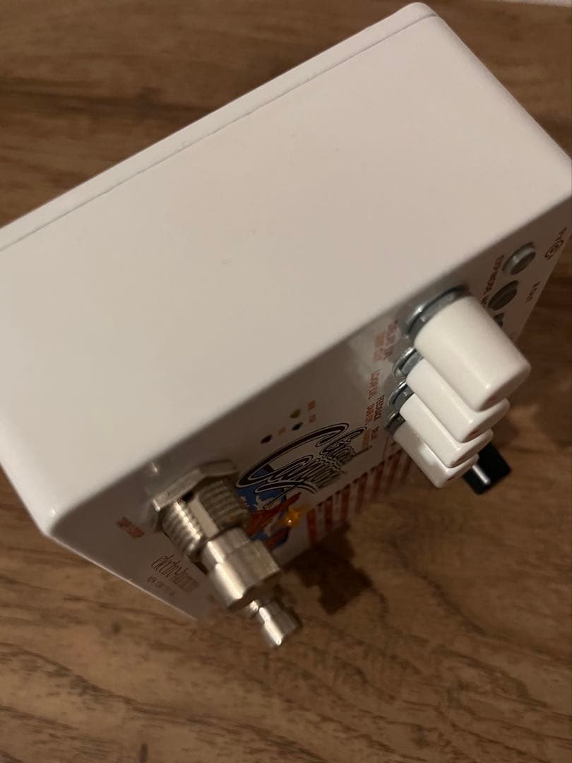 Electro-Harmonix Grand Canyon ディレイ &ルーパー