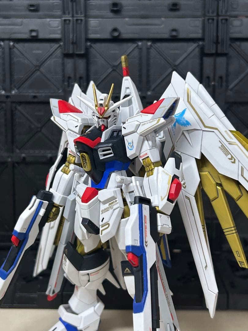 マイティーストライクフリーダムガンダム　塗装完成品　部分塗装　HG