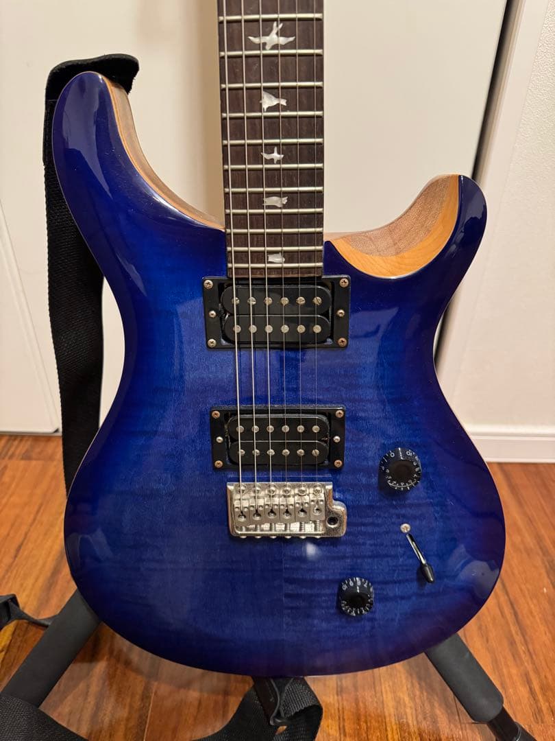 ギター SE Custom24 ryo.oyr621