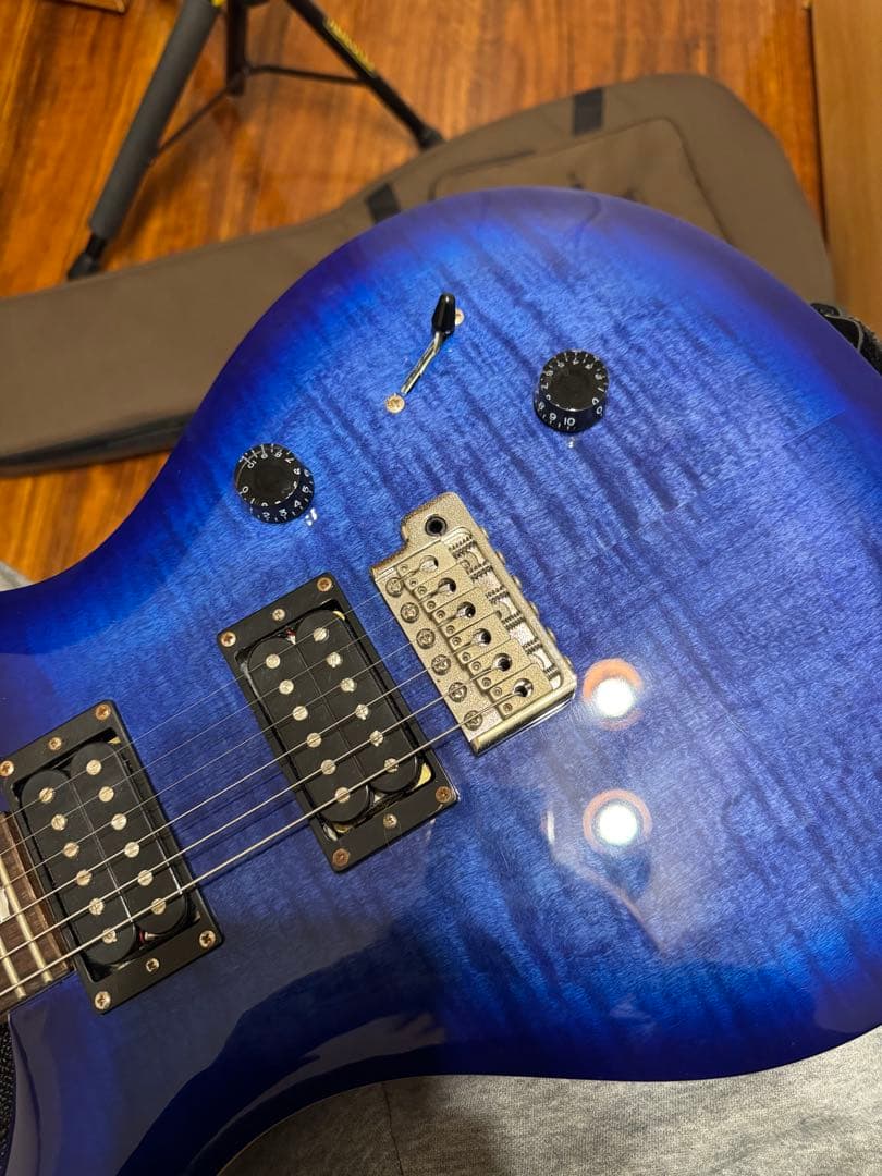 ギター SE Custom24 ryo.oyr621