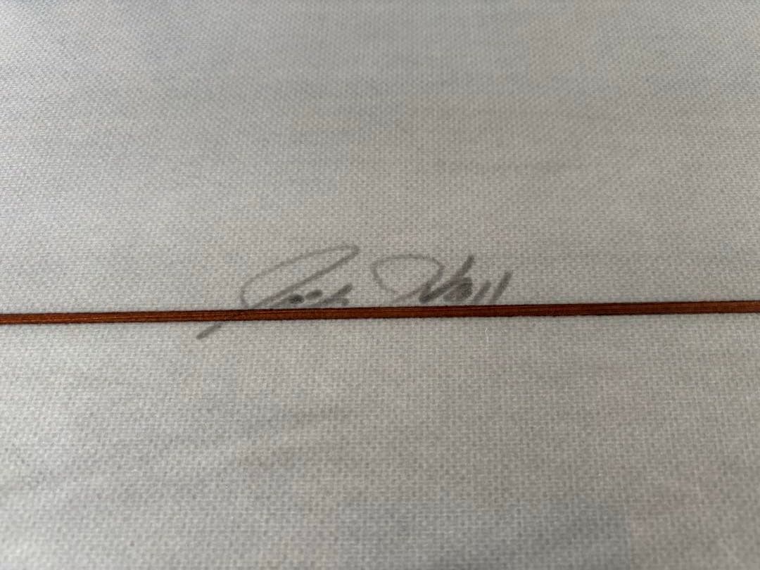 Josh Hall ジョシュホール サーフボードFISH 7'0