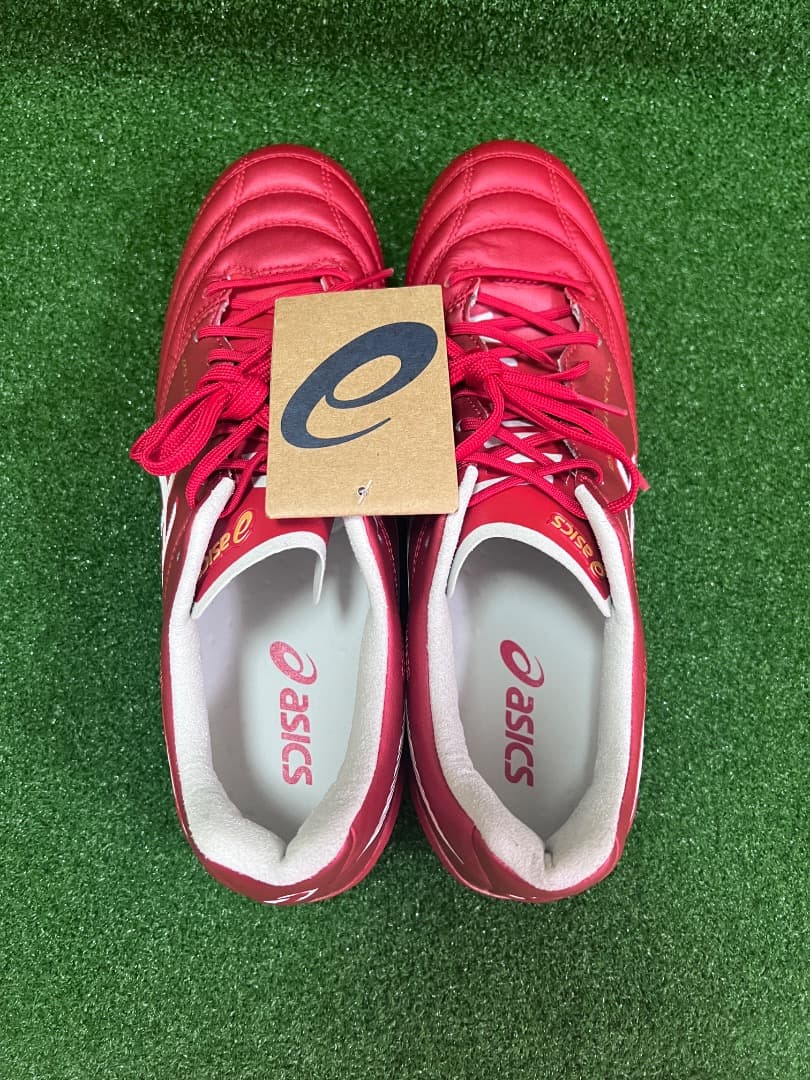 アシックス　DS LIGHT X-FLY5　 クラッシックレッド/ホワイト