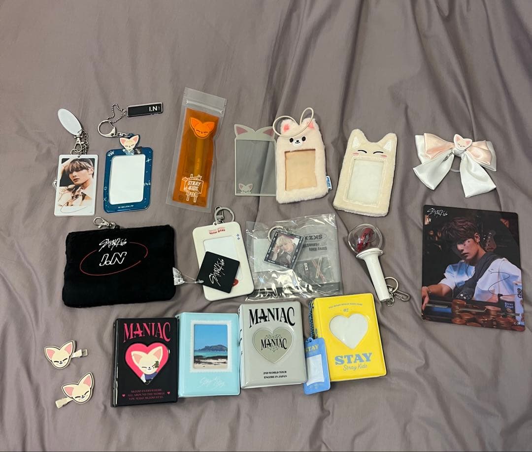 stray kids skzoo in アイエン　フォクシニ　まとめ売り　セット