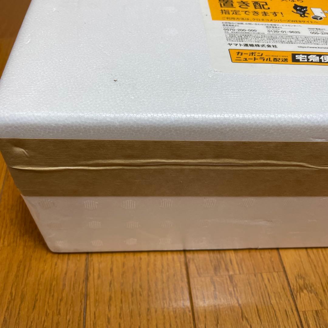 森伊蔵　新品未開封　2025年10月当選分　1800ml