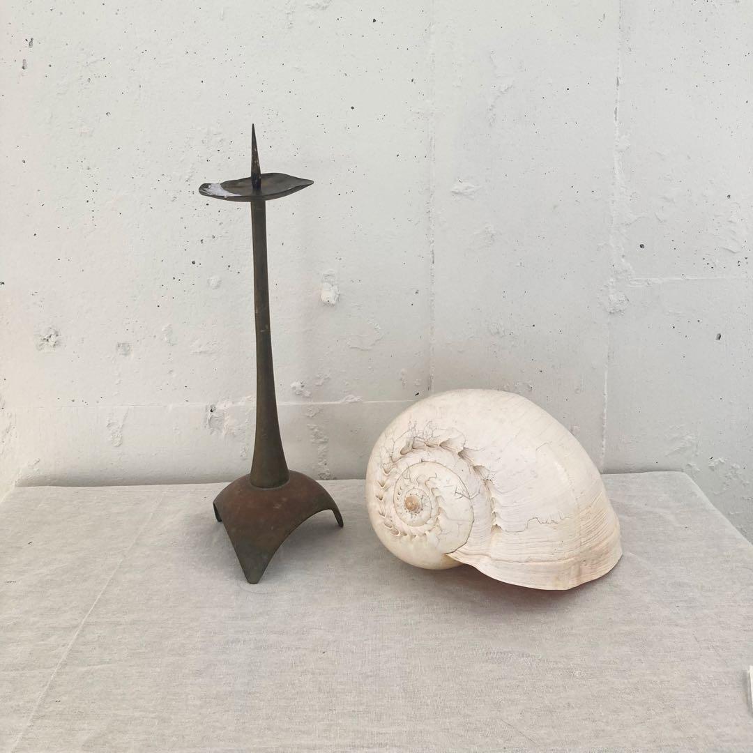 フローデリップヤシガイ　インテリア装飾