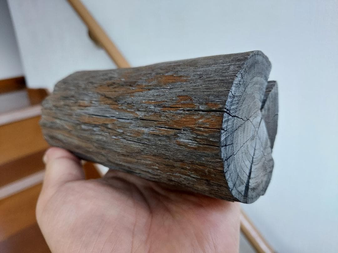 阿武隈川産 埋もれ木（大）　新古今和歌集に詠まれた本物の伝承品