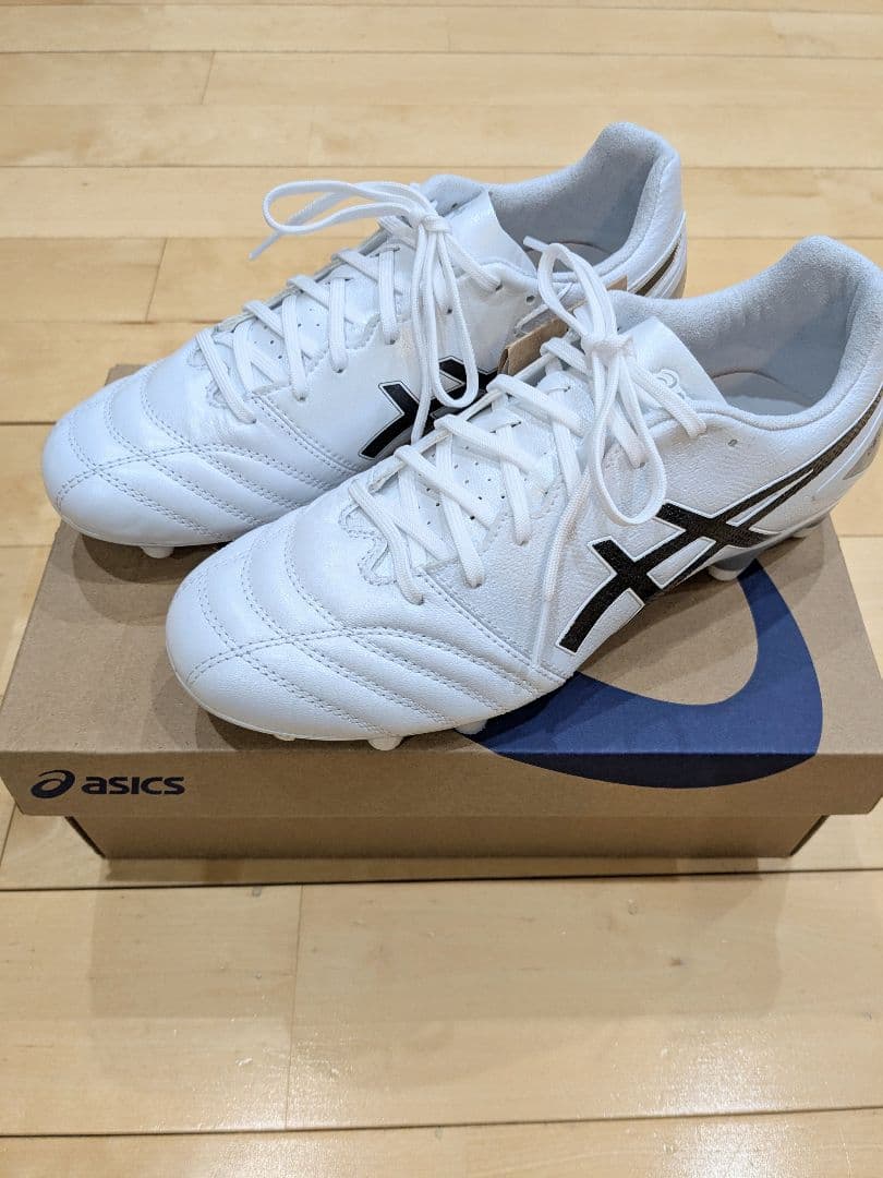 ASICS DS LIGHT PRO スタンダード 25.0cm 新品未使用