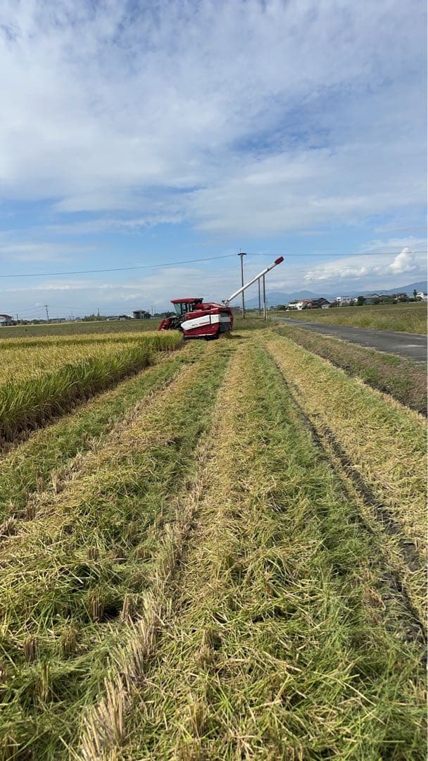 新鮮な米 福岡県産　夢つくし玄米30キロ