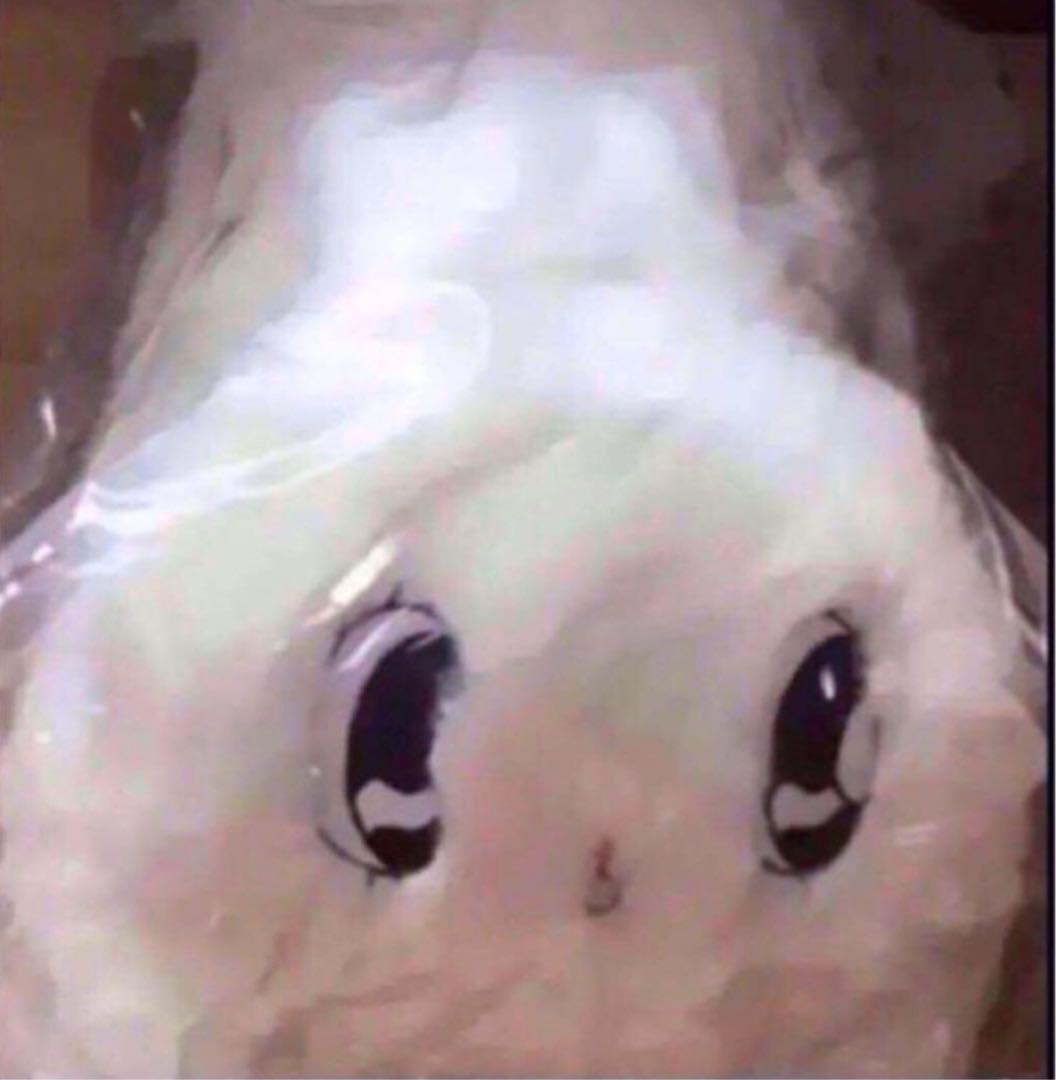 ラスト1点　WC エスターキム コラボ限定 ぬいぐるみクッション抱き枕　新品