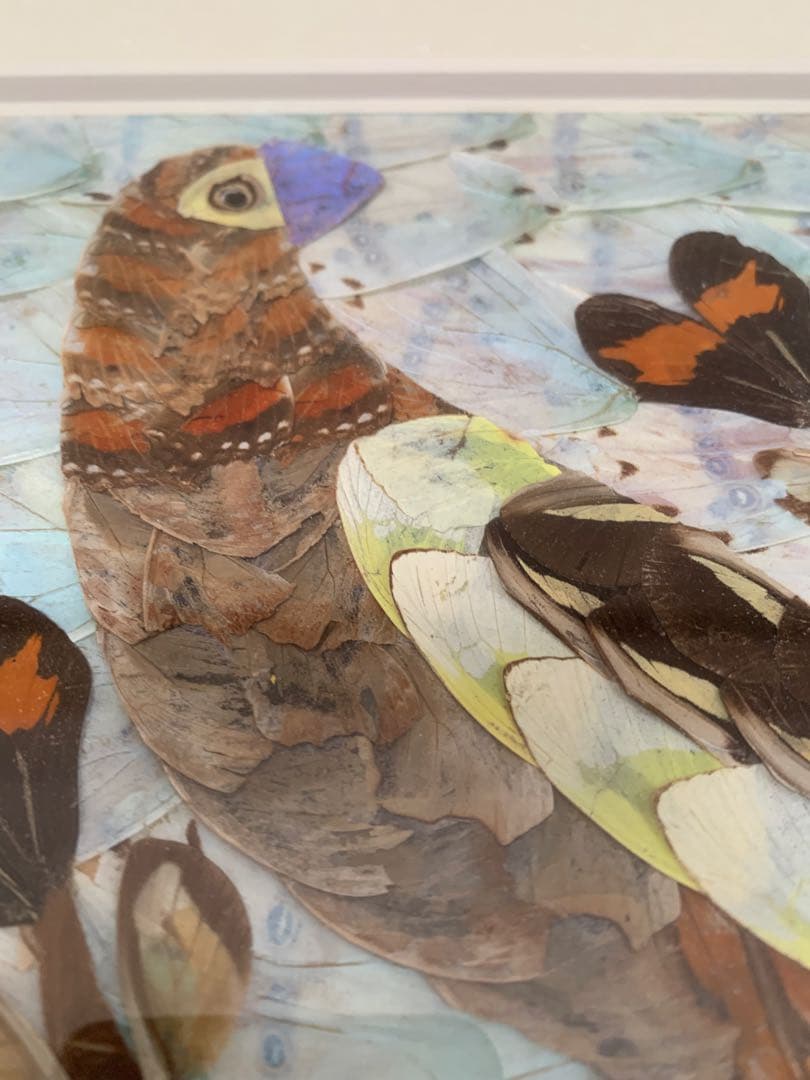 モルフォ蝶 羽絵 アート アンティーク インテリア 額装 羽細工 蝶標本 壁掛け