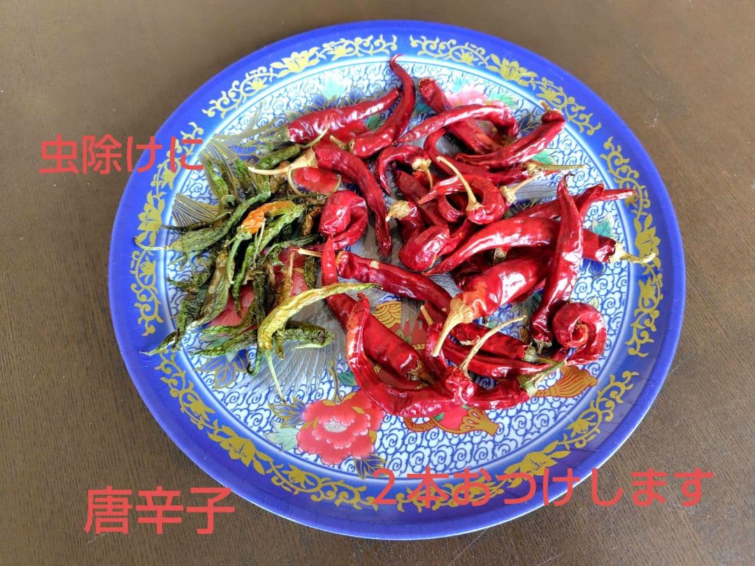 つきあかり10kg　岩手県産 令和６年産 減農薬 玄米 希少米