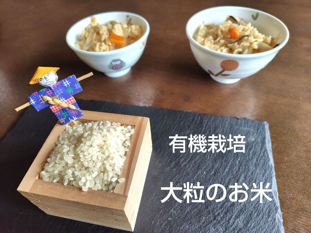 つきあかり10kg　岩手県産 令和６年産 減農薬 玄米 希少米