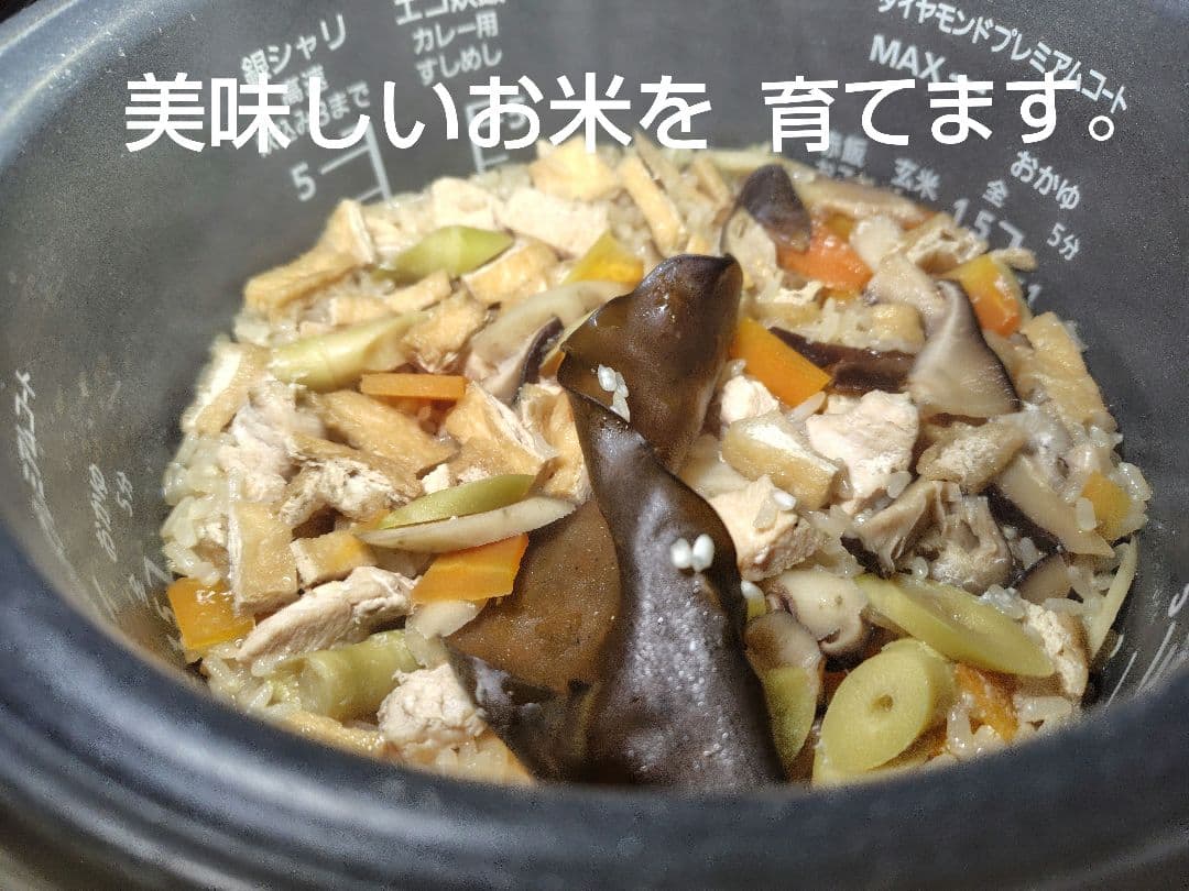 つきあかり10kg　岩手県産 令和６年産 減農薬 玄米 希少米