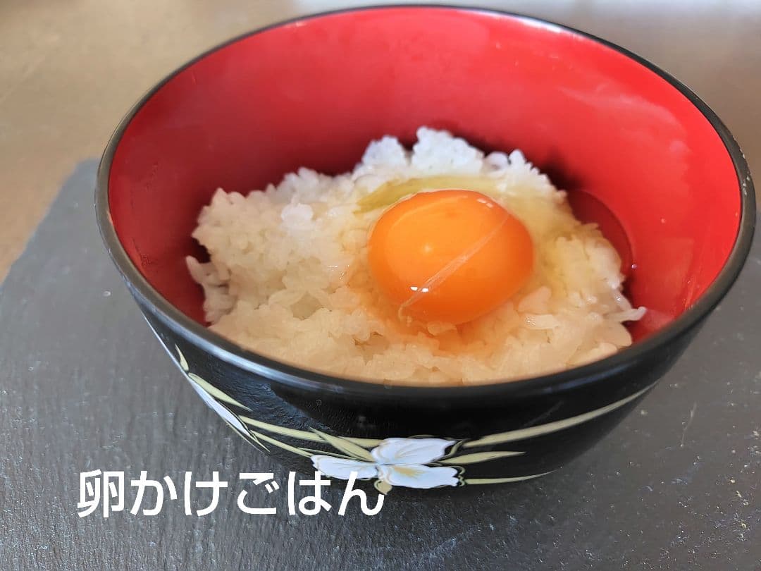 つきあかり10kg　岩手県産 令和６年産 減農薬 玄米 希少米