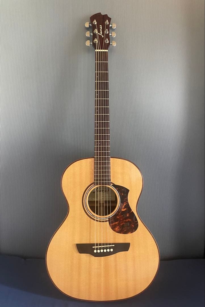 【値下げ】James J-800A アコースティックギター／上位モデルオール単板