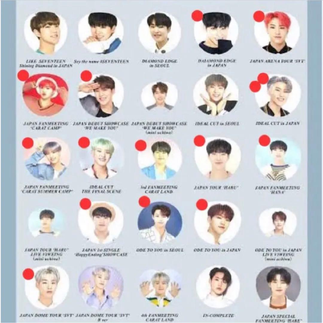 【即日発送可能】SEVENTEEN ホシ うちわ まとめ売り