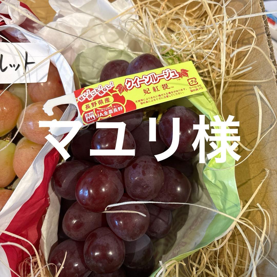 マユリ様 クイーンルージュ3kg