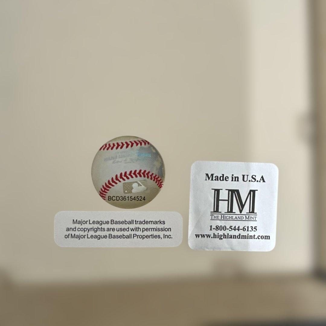 イチロー 引退記念フレームアート 51