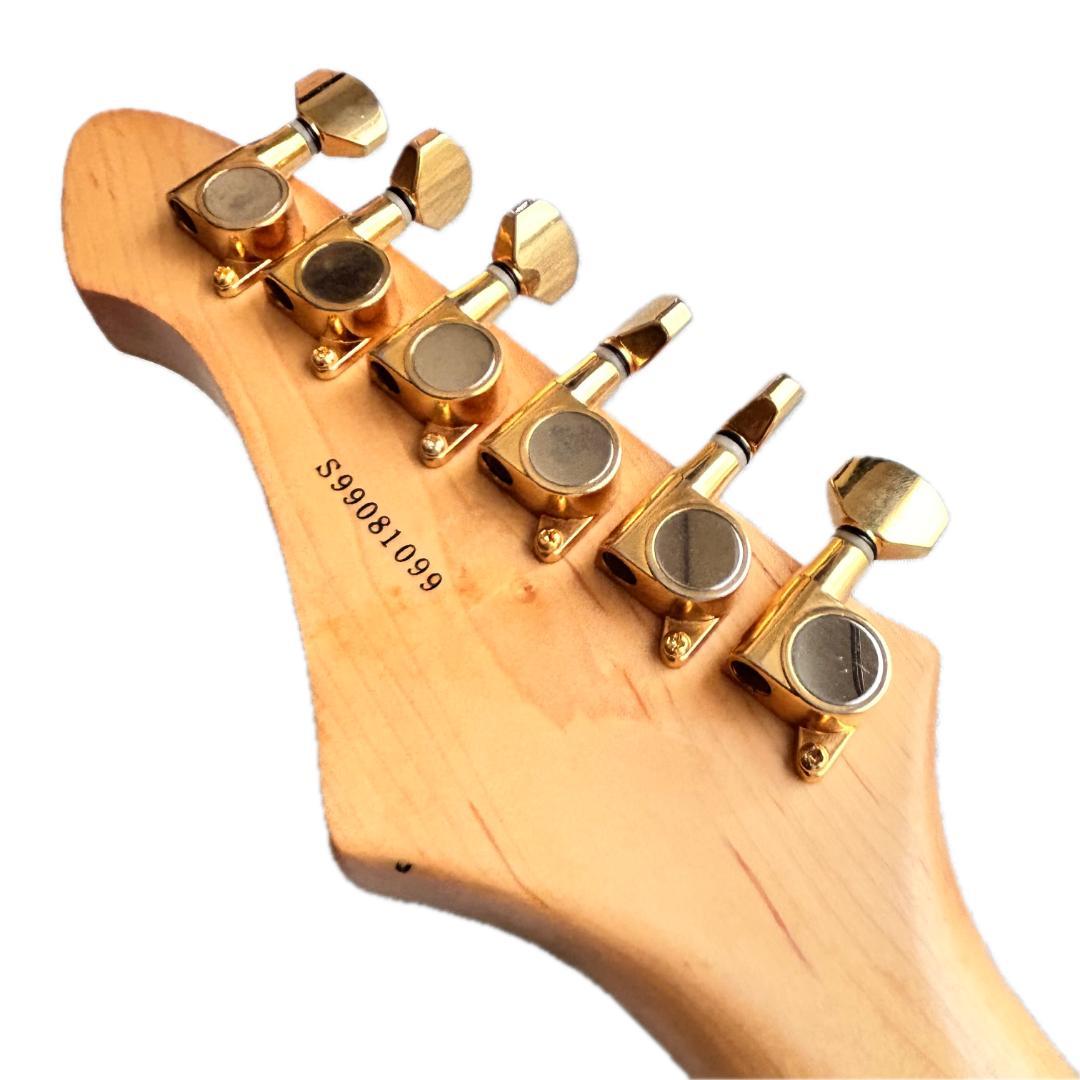 Aria Pro II ソフトケース＆トレモロ付き　送料込み