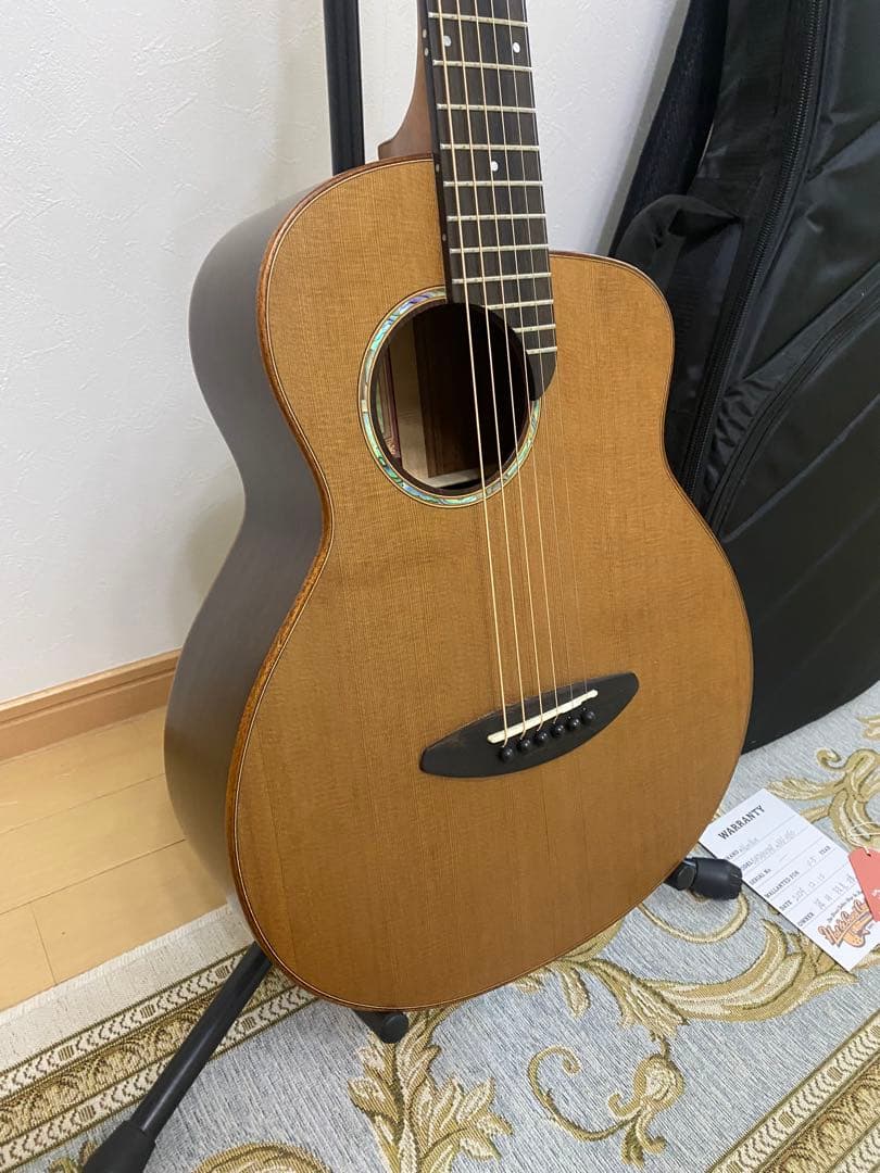 aNueNue （アヌエヌエ） M60 ギター杉田健二監修ミニギター