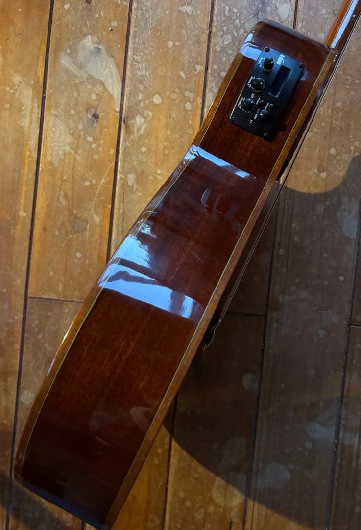 エレガット Playtech ECL-200