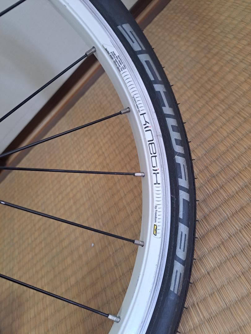 ダホン ルート10sフルカスタム　　　　　　　　DAHON ROUTE