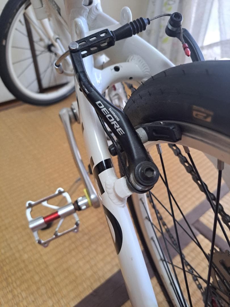 ダホン ルート10sフルカスタム　　　　　　　　DAHON ROUTE