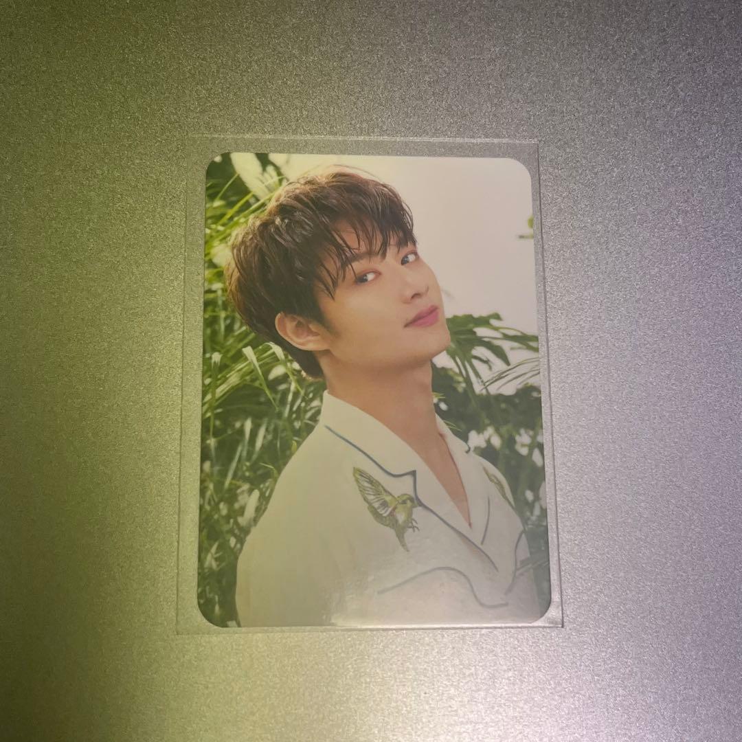 seventeen ザセム　トレカ　ジュン