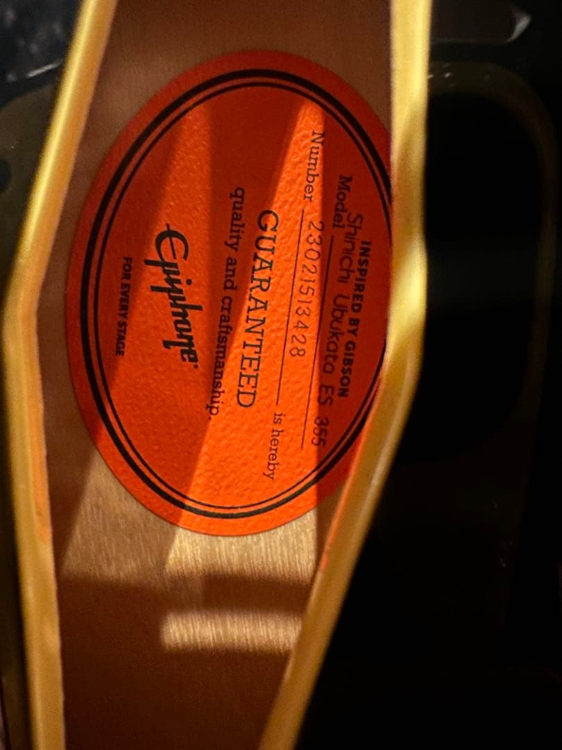 ギター Epiphone Shinichi Ubukata ES-355 ver.02